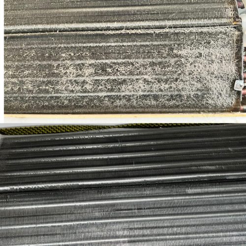 343435156_926301485253180_4376102969503596484_n